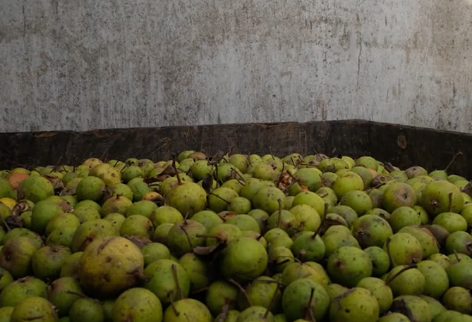 Chef Brennan Dates comes for Cider