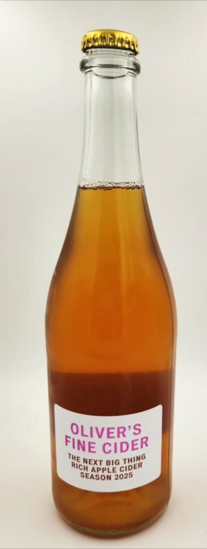 THE NEXT BIG THING CIDER (750ml) 4.8%